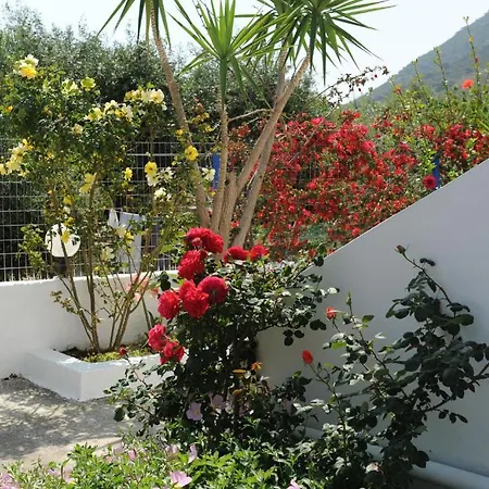 Spring Διαμέρισμα