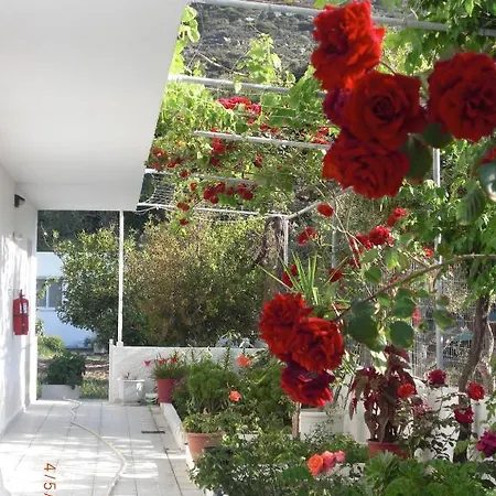 Spring Kéfalos