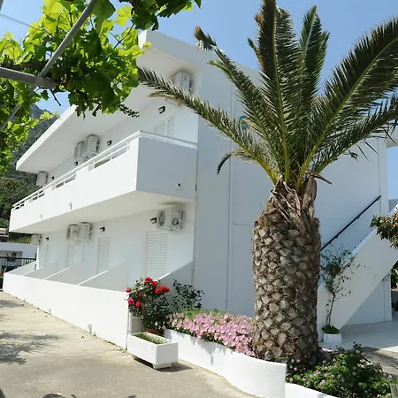Spring Daire Kéfalos